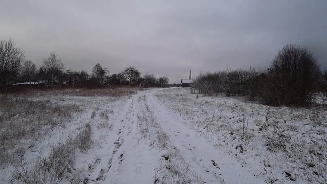 СОДЕРЖАНИЕ БЫКОВ СКОЛЬКО РАЗ В ДЕНЬ КОРМЛЮ,СВИНЬЯ ПОШЛА НА ПОПРАВКУ ОТПУСКАЮ С ЗАГОНА