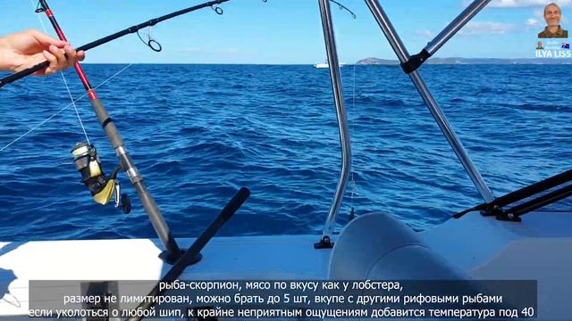 Морская рыбалка, видео для рыбаков. Океанские рыбы и твари, лучшее. Часть 3. (видео 416)