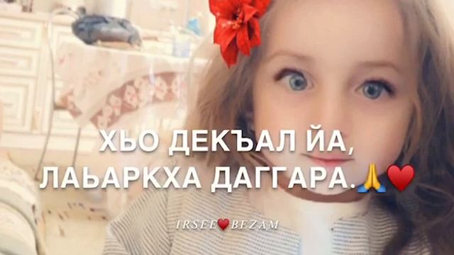 Йинчу денца декъал йо смотреть онлайн