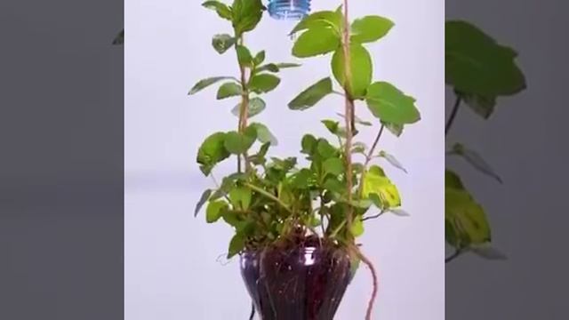 Бери и делай-.mp4 смотреть онлайн