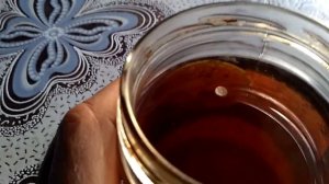 Чайный гриб  Часть 2