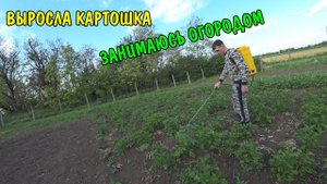 ВЫРОСЛА КАРТОШКА / НАШ ОГОРОД В КРАСНОДАРЕ / ДЕЛАЮ МАШИНУ / ОБЗОР ПОКУПОК / БОЧКА ИЗ ПОД МАСЛА
