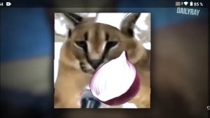 рецепт пельменей от шлёпы рэп