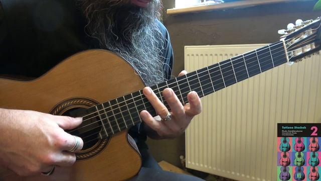 Tatiana Stachak - Etiuda Tango nuevo смотреть онлайн