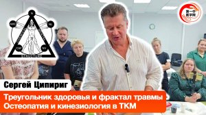 Треугольник здоровья и фрактал травмы. Остеопатия и кинезиология в связке с ТКМ