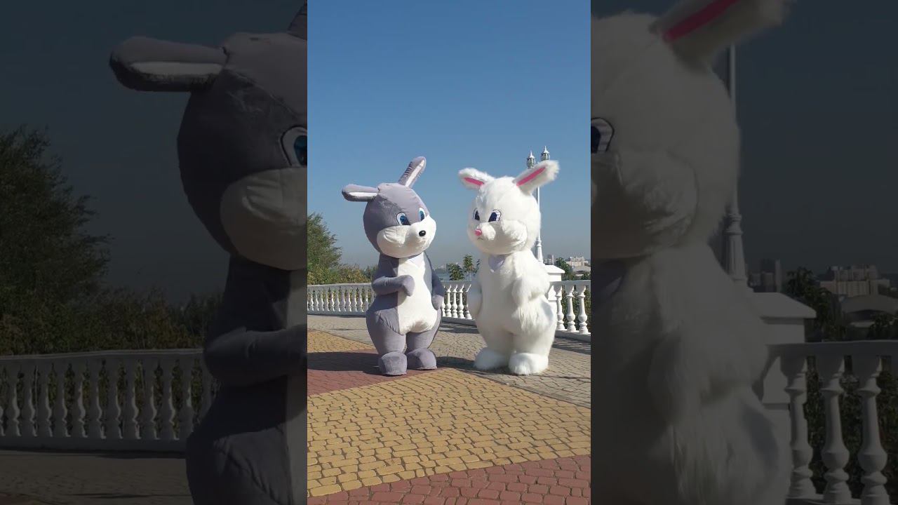 Ростовой костюм зайчик