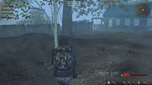 Stalker Online/Stay Out. Прохождение Усов-Топи в составе другого клана