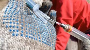 Эдильбаевские овцы в "СИБИРИ" Стрижка плд машинку.