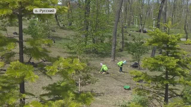 «Сад памяти» появился в кампусе ДВФУ в канун Дня Победы