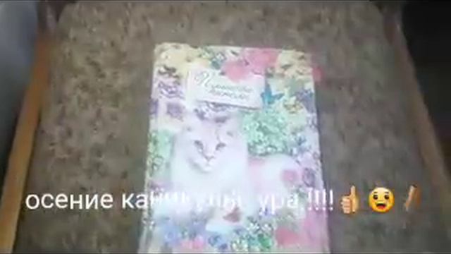 Что делать на осенних каникулах ? смотреть онлайн