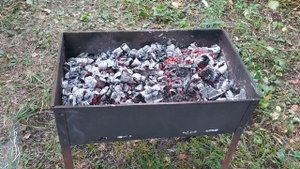 ШАШЛЫК СГОРЕЛ! КАК МЫ МЯСО ПЕРЕЖАРИЛИ!
