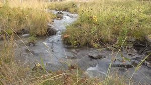 Звуки Каракольской долины.  Природный парк Уч-Энмек. Алтай. Звуки природы.