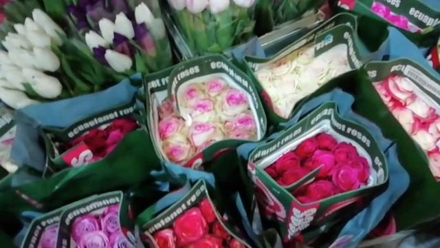 #2FLORA ???Видео отзыв Поставка цветов от нашей компании ??? Цветы оптом по всей России!