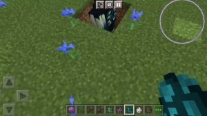 яйца призыва в Майнкрафте