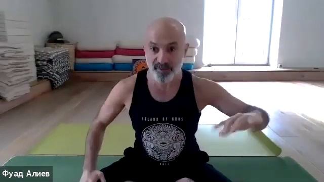 Фрагмент занятия по системе Баланс Стихий | Теория смотреть онлайн