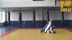 Защита от прохода в две ноги 2 (Леонид Гатовский)