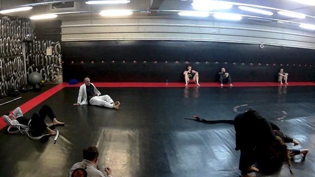 Open mat 30.12.23 Волк (1)