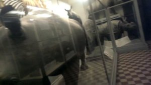 П466 - насорог и обезьяны - день 15 - видео 31 - Немец опять офигевает в России