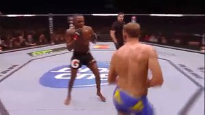 Джон Джонс - Александр Густафссон полный бой