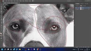 How to Create Single line art pet Portrait In Illustrator | Pet Portrait | Pet art.