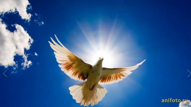 Оригинальное поздравление с Днем Рождения! Девушке, женщине необычное поздравление. смотреть онлайн