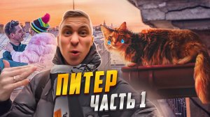 ПОЕЗДКА В ПИТЕР | СПАСЕНИЕ КОТА | ЧУТЬ НЕ УПАЛ С КРЫШИ | ВЛОГ Часть1