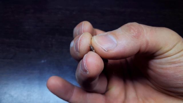 ПОЧЕМУ ВСЕГДА НУЖНО МЫТЬ РУКИ... смотреть онлайн