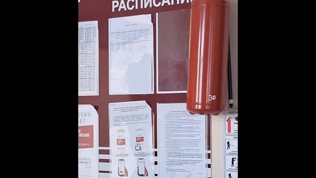 видео о школе