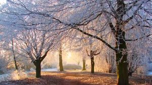 Вдоль по миру счастье проходит