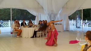 Заказать танец живота на праздник, свадьбу, юбилей в Москве - восточный танец на корпоратив - Сальм