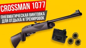 Crossman 1077 пневматическая винтовка ОБЗОР и мнение