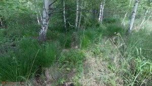 Блин еле достал! Крупный Карп на Рогатку! Охота на рыбу с рогаткой весной в мае #15