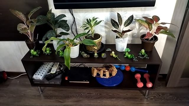 Металлические подставки для цветов чем заселила. смотреть онлайн