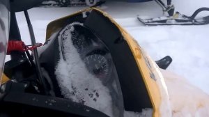 Artic Fox 200 снегоход