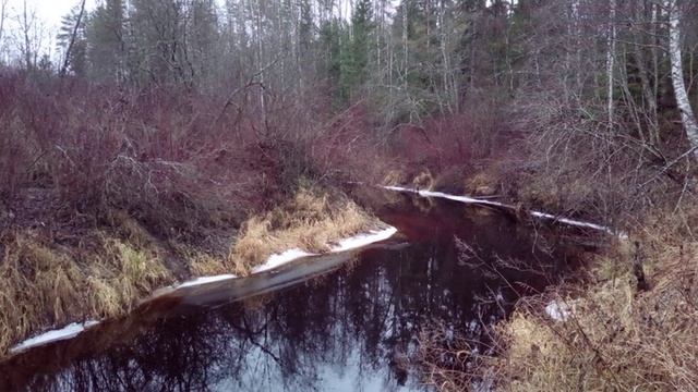 Река/ осенний вид смотреть онлайн