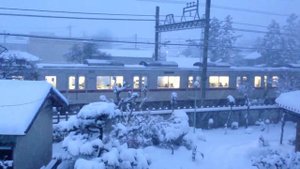 Красивый снег в Японии 🇯🇵✨❄️