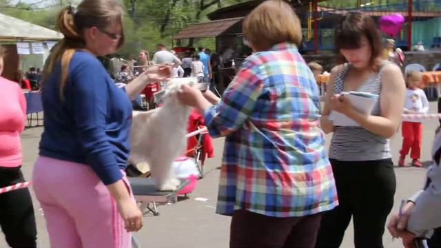 10.05.2014. Уссурийск. смотреть онлайн
