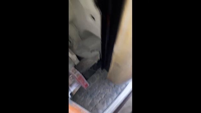 скорпио пороги смотреть онлайн