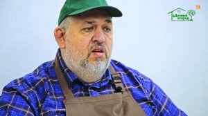 Горечавка, ее посадка и уход.