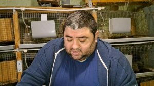 Наконец-то крольчиха окролилась, а сможет ли всех выкормить?
