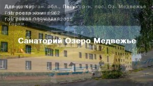 Санатории Курганской области