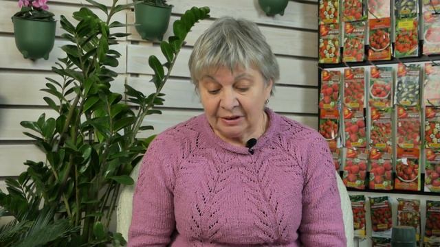 Как правильно выбрать сорт земляники ? Лучшие Сорта Земляники смотреть онлайн