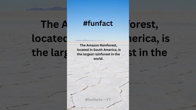 Fun South American Facts