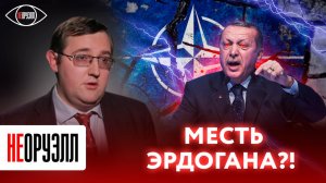 Скоро выборы. Как Эрдоган пытается удержать власть? Швеция в НАТО? | НЕОРУЭЛЛ | Владислав Воротников