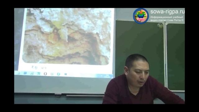 Камни и природные материалы. Фрагмент процесса обучения смотреть онлайн