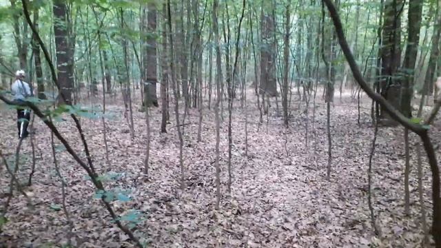 Белые грибы черного леса часть3 , Schwarzwälder Steinpilze 3 , Funghi Porcini Foresta Nera 3 смотреть онлайн