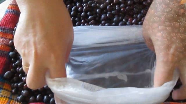 крыжовник на зиму смотреть онлайн