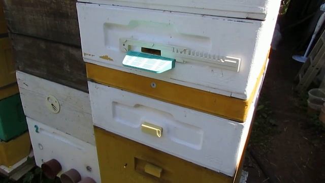 ошибка пчеловода - объединение пчел через газету при помощи самогона