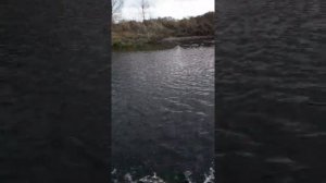 HDX 2,6  лодка Феникс 280