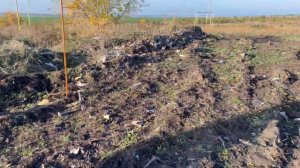 ЛОВЛЯ ПЕВЧИХ ПТИЦ.2023.ЩЕГОЛ.РЕПЕЛ.ЧИЖ.